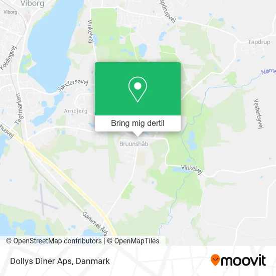 Dollys Diner Aps kort