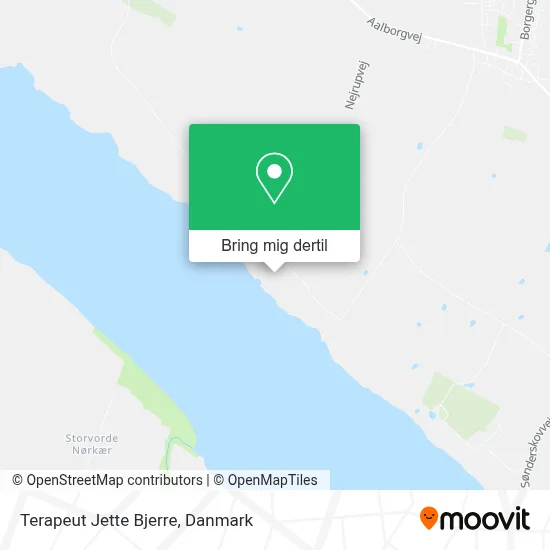 Terapeut Jette Bjerre kort