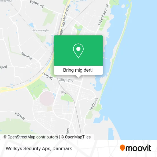 Wellsys Security Aps kort