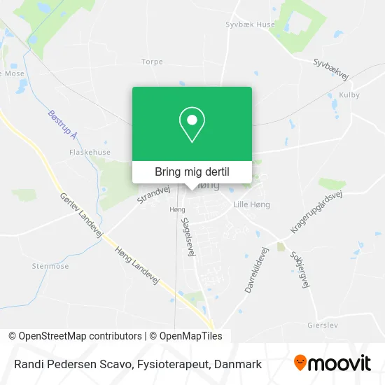 Randi Pedersen Scavo, Fysioterapeut kort