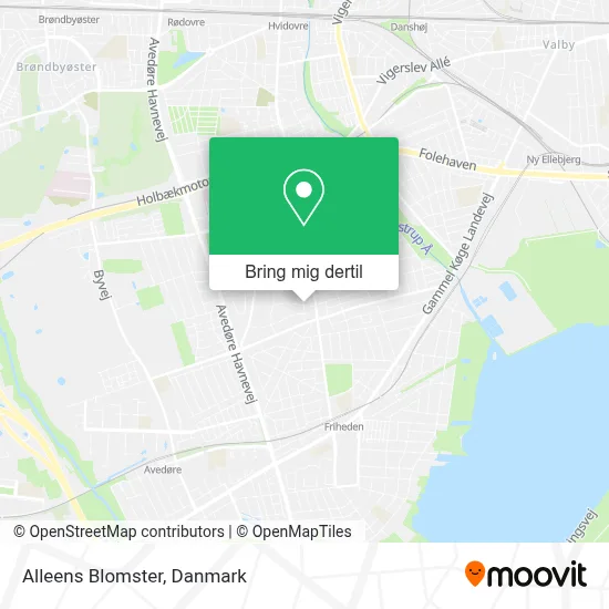 Alleens Blomster kort