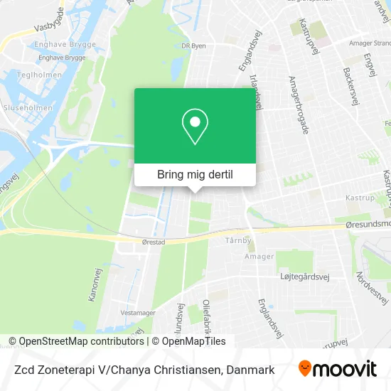 Zcd Zoneterapi V / Chanya Christiansen kort