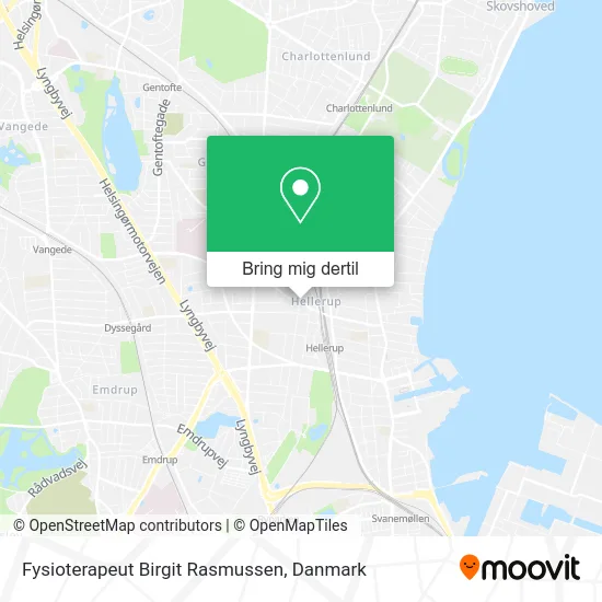 Fysioterapeut Birgit Rasmussen kort