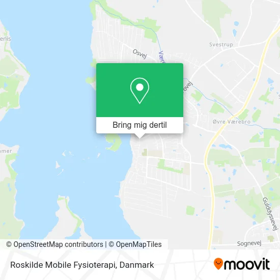 Roskilde Mobile Fysioterapi kort