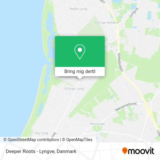 Deeper Roots - Lyngve kort