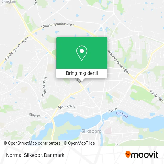 Normal Silkebor kort