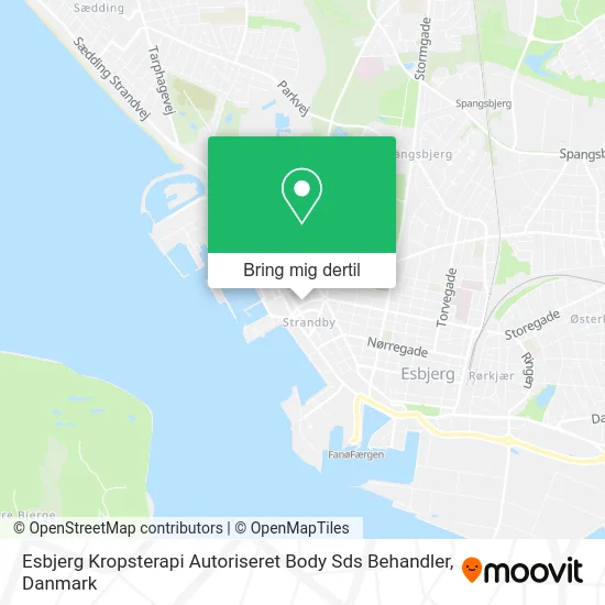 Esbjerg Kropsterapi Autoriseret Body Sds Behandler kort