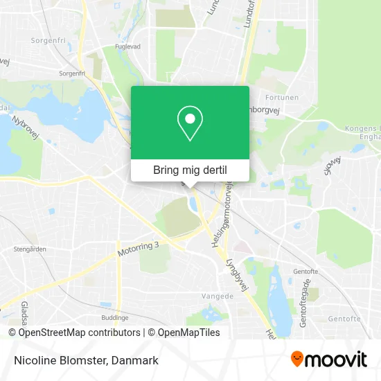 Nicoline Blomster kort