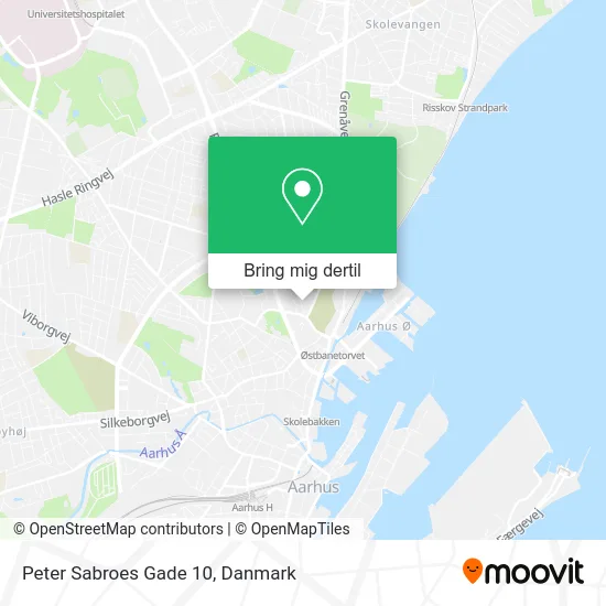 Peter Sabroes Gade 10 kort