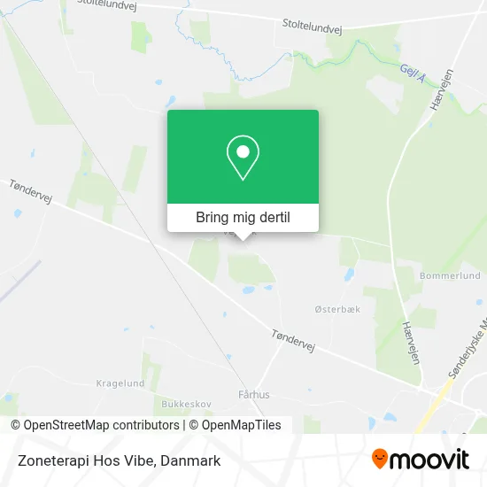 Zoneterapi Hos Vibe kort
