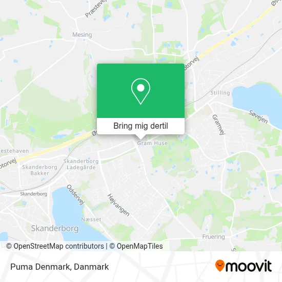 Puma Denmark kort