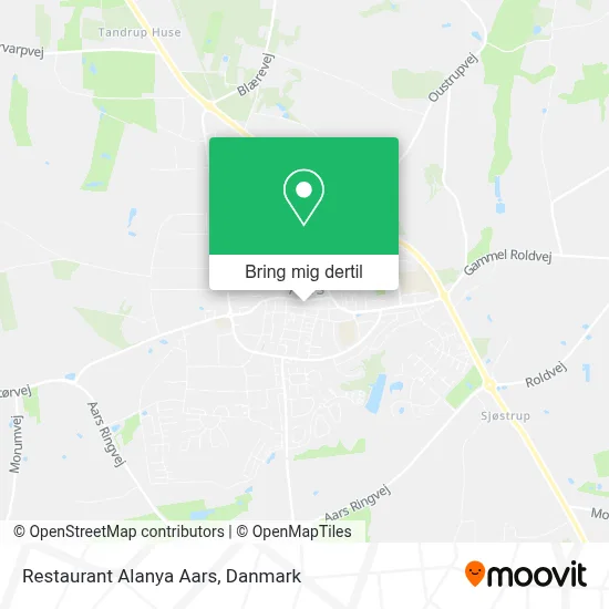 Restaurant Alanya Aars kort