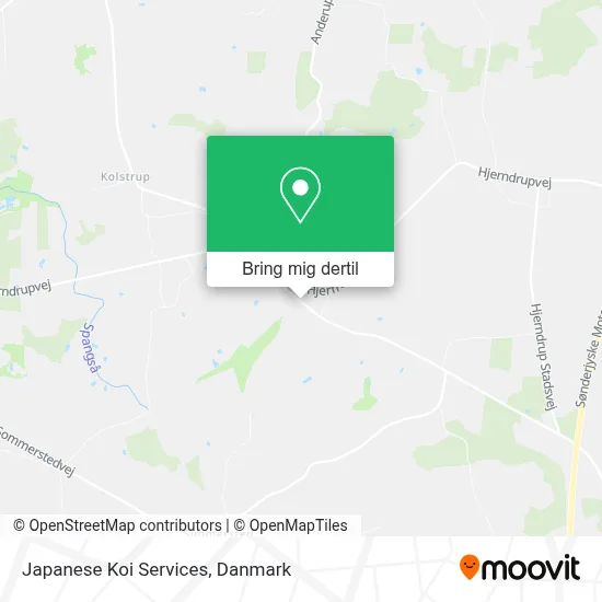 Japanese Koi Services kort