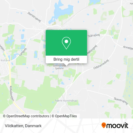 Vildkatten kort