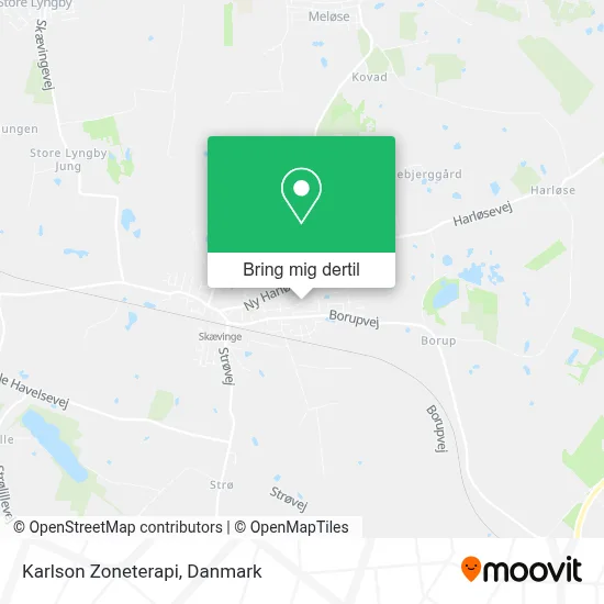 Karlson Zoneterapi kort