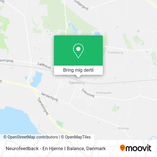 Neurofeedback - En Hjerne I Balance kort