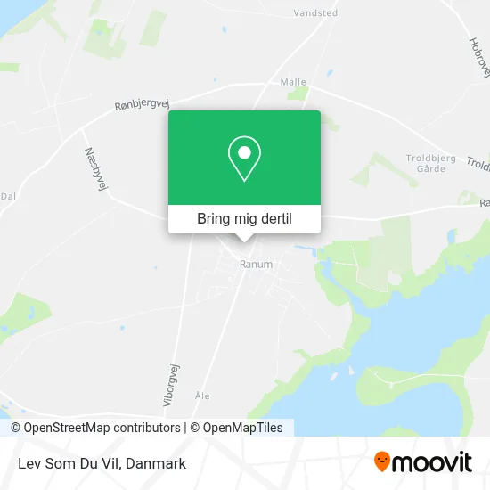Lev Som Du Vil kort