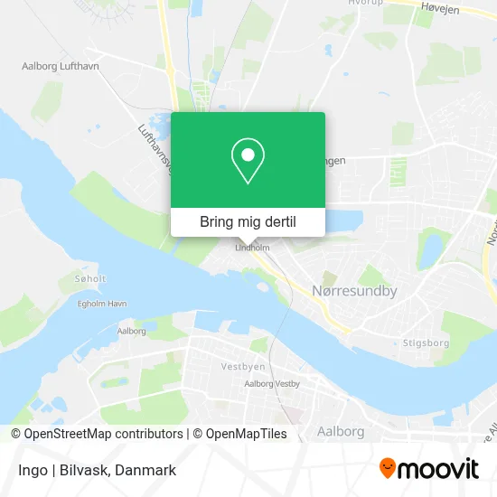 Ingo | Bilvask kort