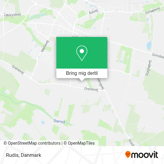 Rudis kort