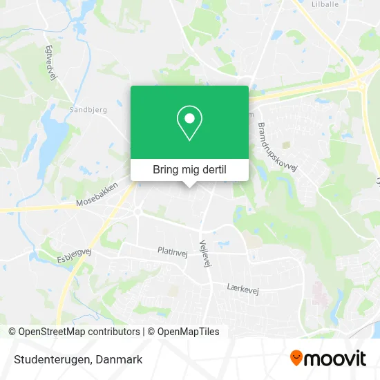 Studenterugen kort