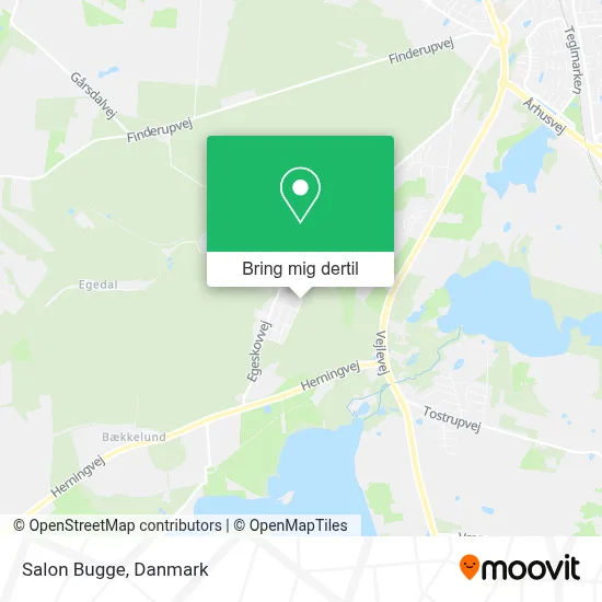 Salon Bugge kort