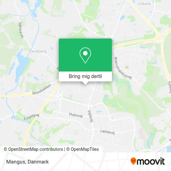 Mangus kort