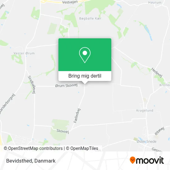 Bevidsthed kort