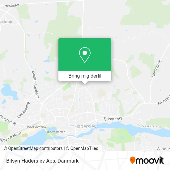 Bilsyn Haderslev Aps kort