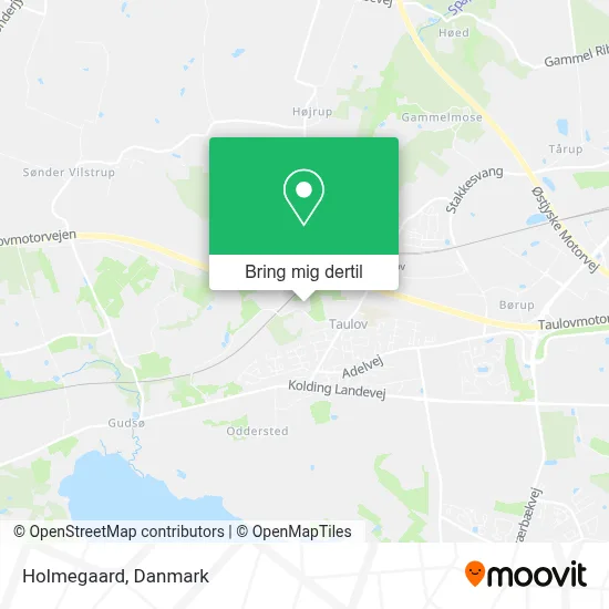 Holmegaard kort