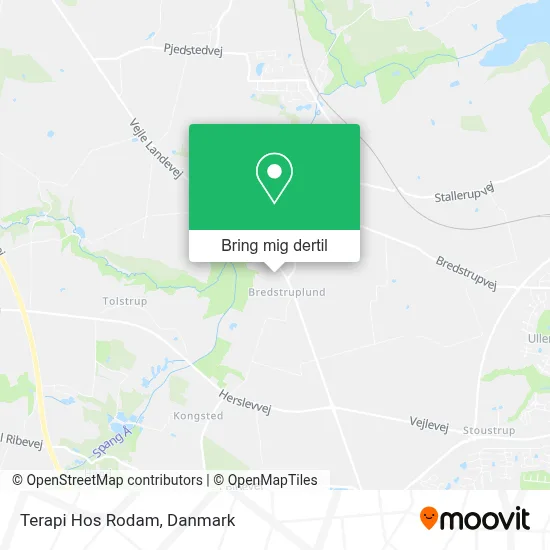 Terapi Hos Rodam kort