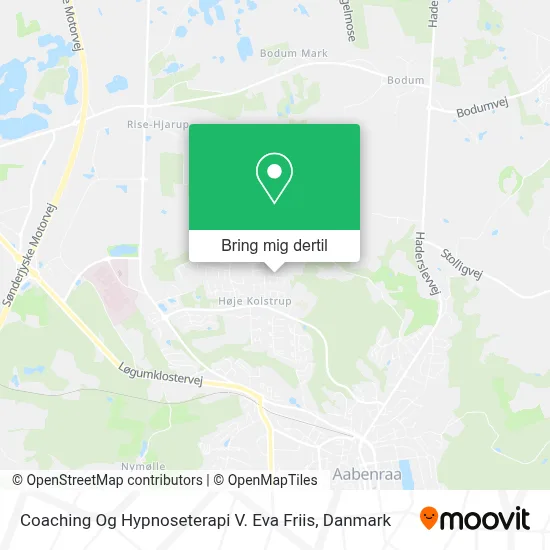 Coaching Og Hypnoseterapi V. Eva Friis kort