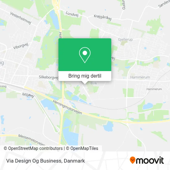 Via Design Og Business kort