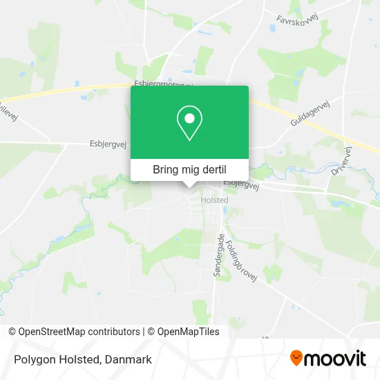 Polygon Holsted kort