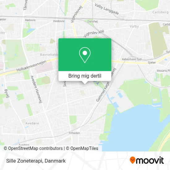 Sille Zoneterapi kort