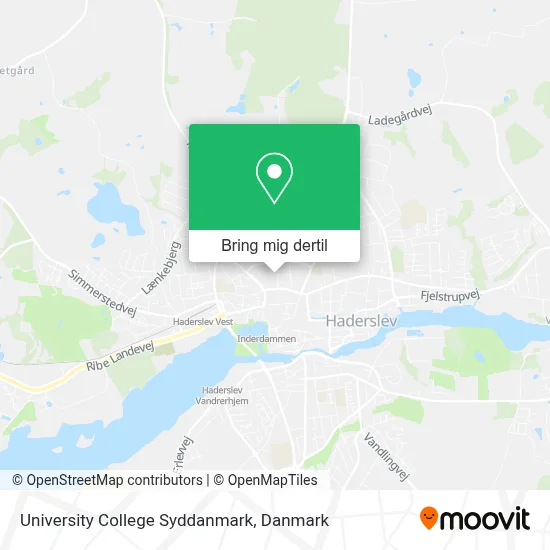 University College Syddanmark kort