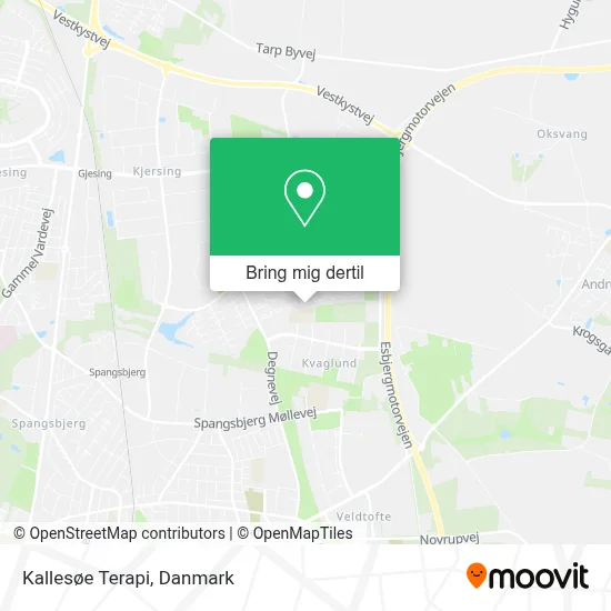 Kallesøe Terapi kort