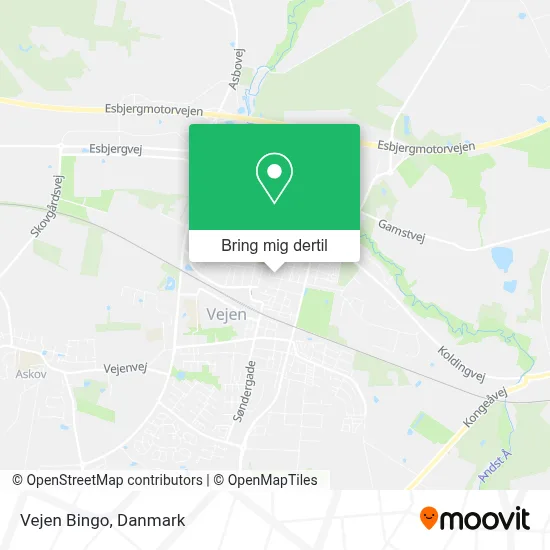 Vejen Bingo kort