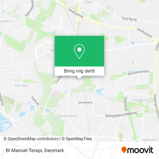 Bl Manuel Terapi kort