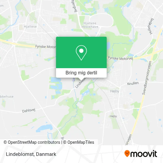 Lindeblomst kort