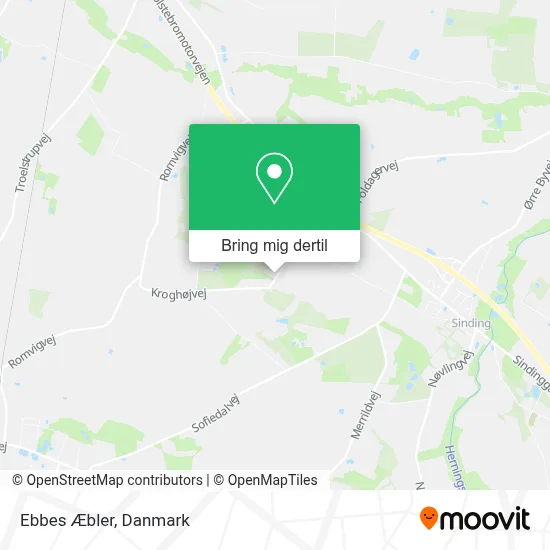 Ebbes Æbler kort