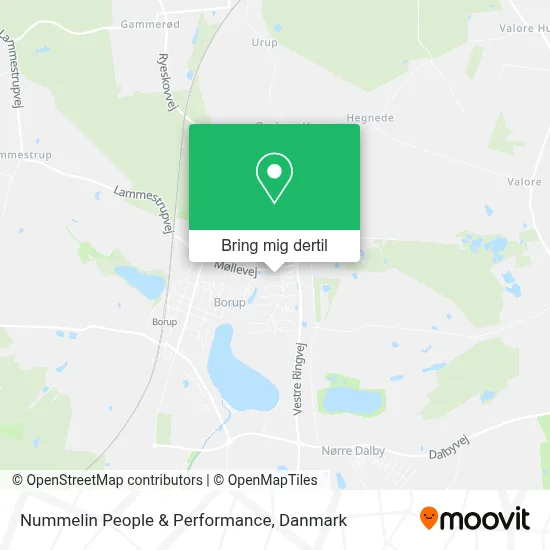Nummelin People & Performance kort