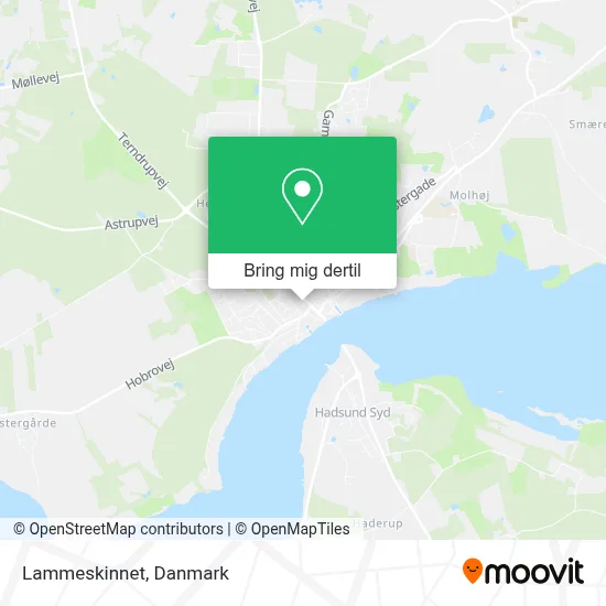 Lammeskinnet kort