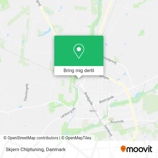 Skjern Chiptuning kort