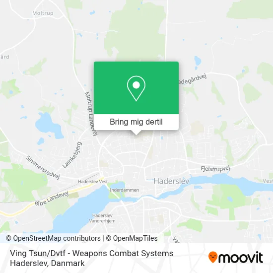 Ving Tsun / Dvtf - Weapons Combat Systems Haderslev kort