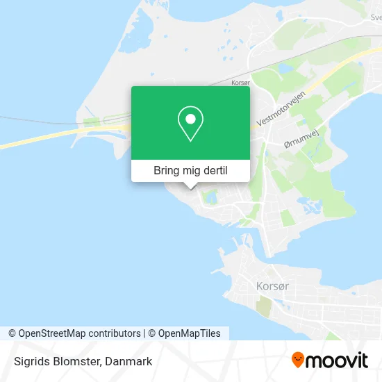 Sigrids Blomster kort