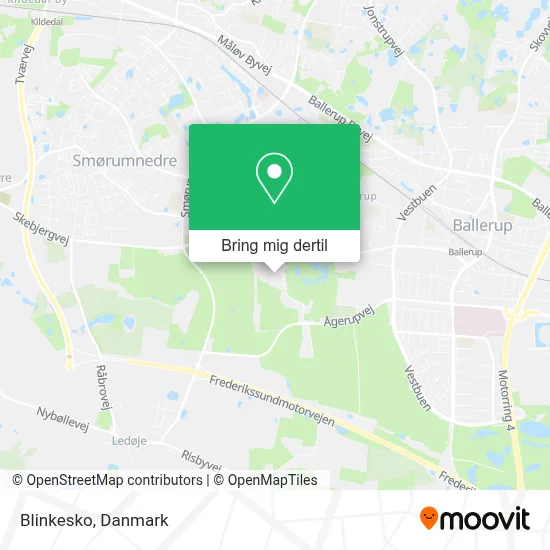 Blinkesko kort