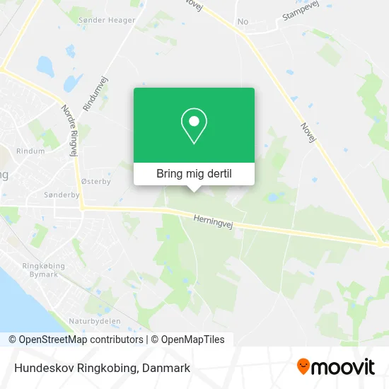 Hundeskov Ringkobing kort