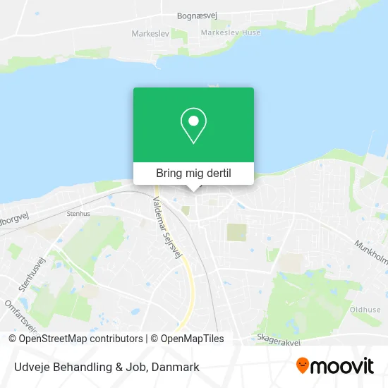 Udveje Behandling & Job kort
