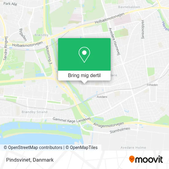 Pindsvinet kort
