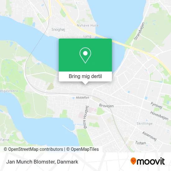 Jan Munch Blomster kort